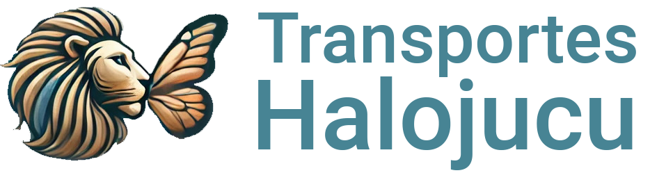 Logo_Lorena_tipo_azul_horizontal Transportes y mudanza Valencia